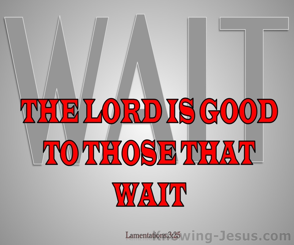 Lamentations 3:25 The Lord Is Good To Those Who Wait (gray)